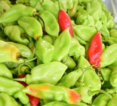 Pimento Peppers